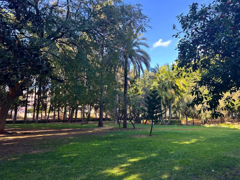 Apartment for Sale in Marbella, Malaga 34