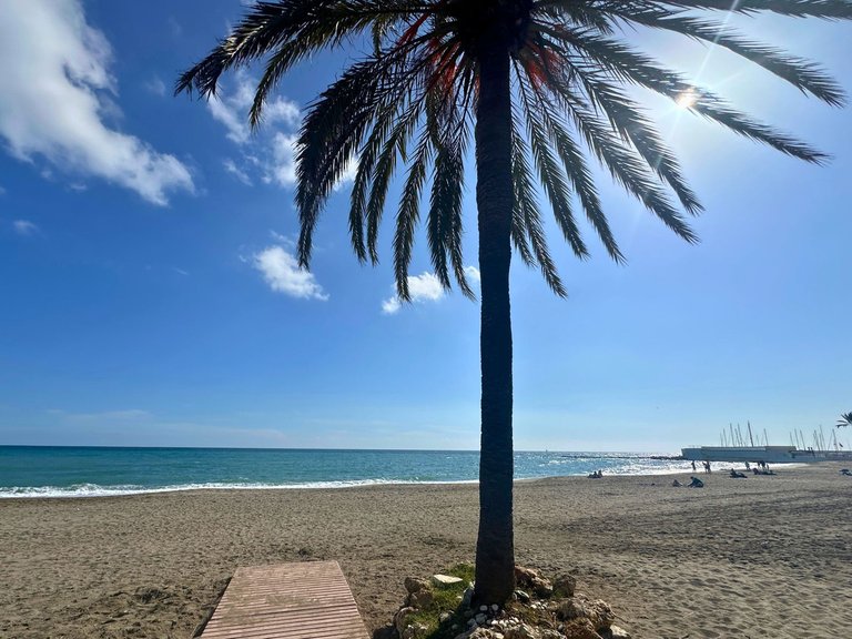 Apartment for Sale in Marbella, Malaga 39