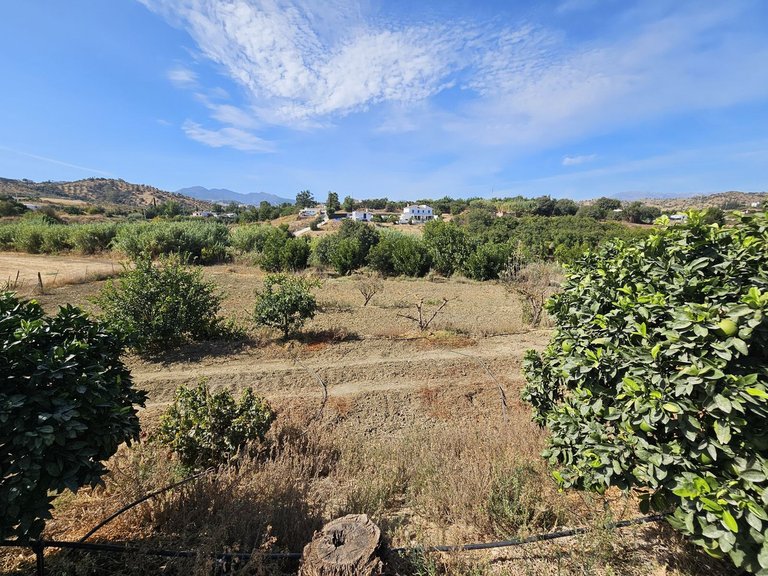 Villa for Sale in Coín, Malaga 41