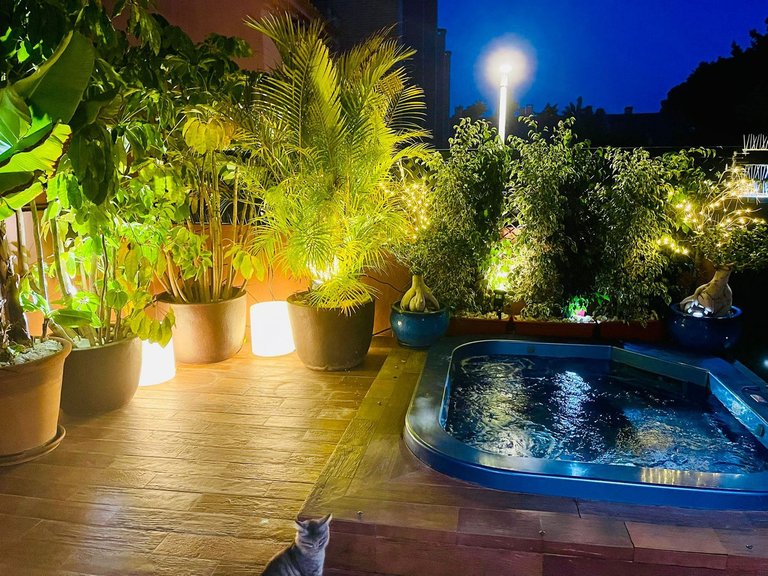 Villa for Sale in Bahía De Marbella, Malaga 10