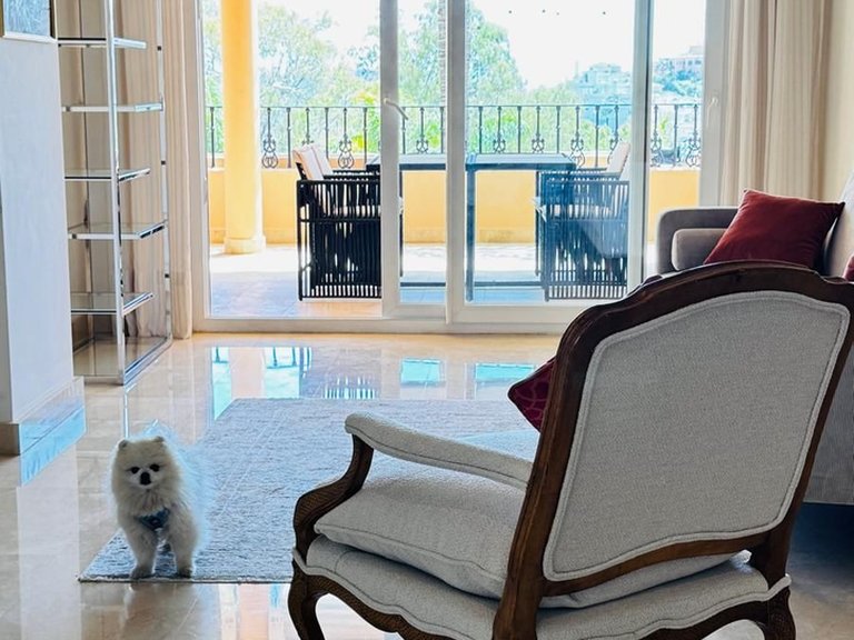 Apartment for Sale in Nueva Andalucía, Malaga 6