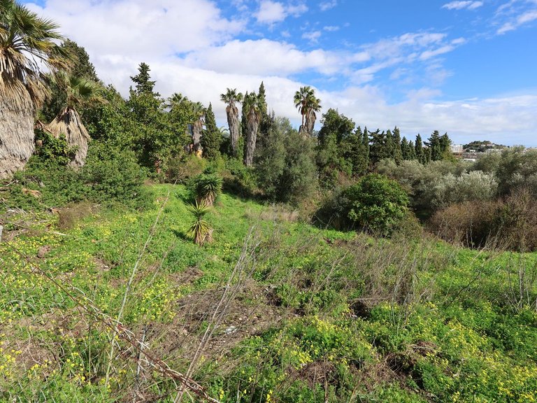 Plot for Sale in Mijas, Malaga 10