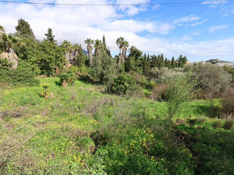 Plot for Sale in Mijas, Malaga 12
