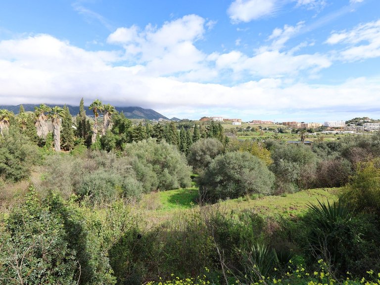 Plot for Sale in Mijas, Malaga 3