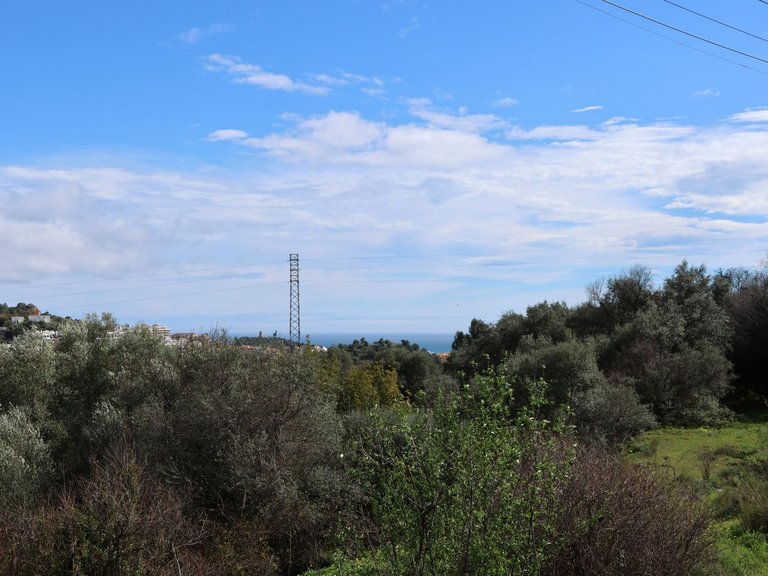 Plot for Sale in Mijas, Malaga 9