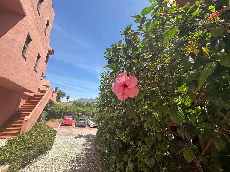 Apartment for Sale in Casares Playa, Malaga 45