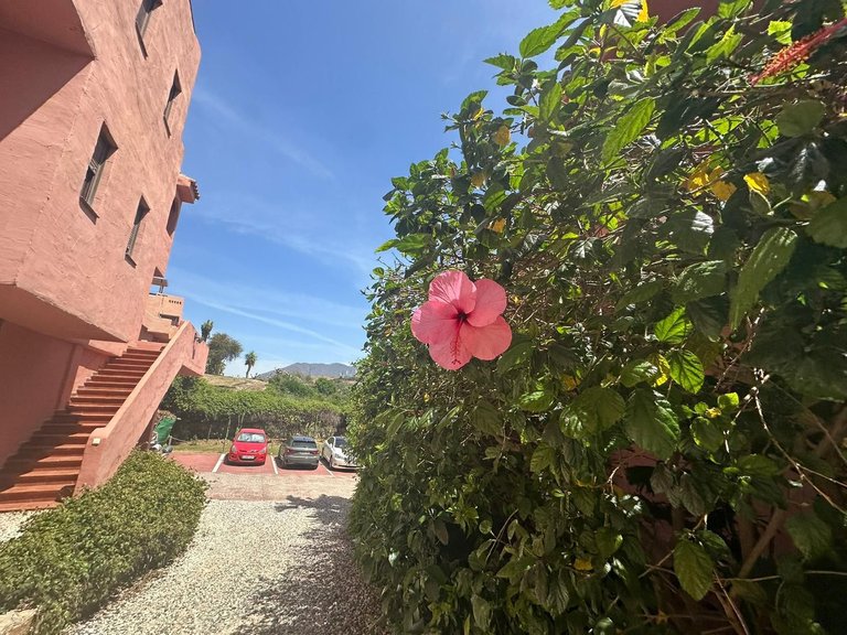 Apartment for Sale in Casares Playa, Malaga 51