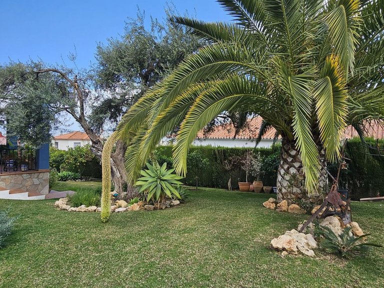 Villa for Sale in Alhaurín De La Torre, Malaga 6