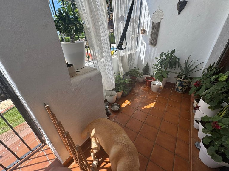 Apartment for Sale in La Cala De Mijas, Malaga 8