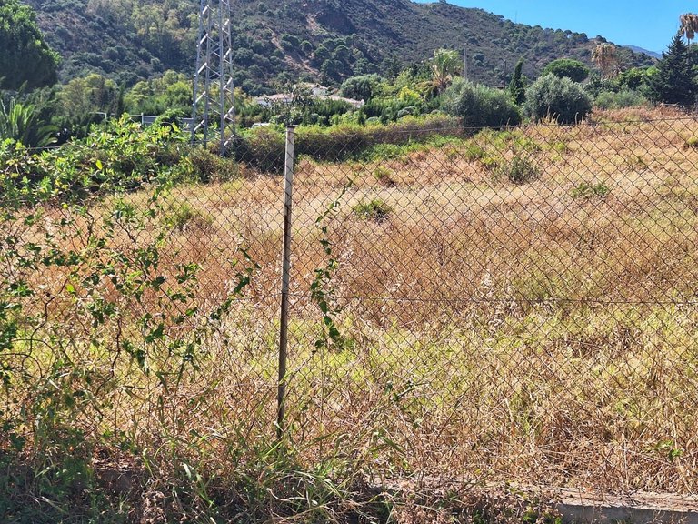 Plot for Sale in Estepona, Malaga 5