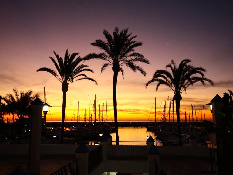 Apartment for Sale in Estepona, Malaga 24