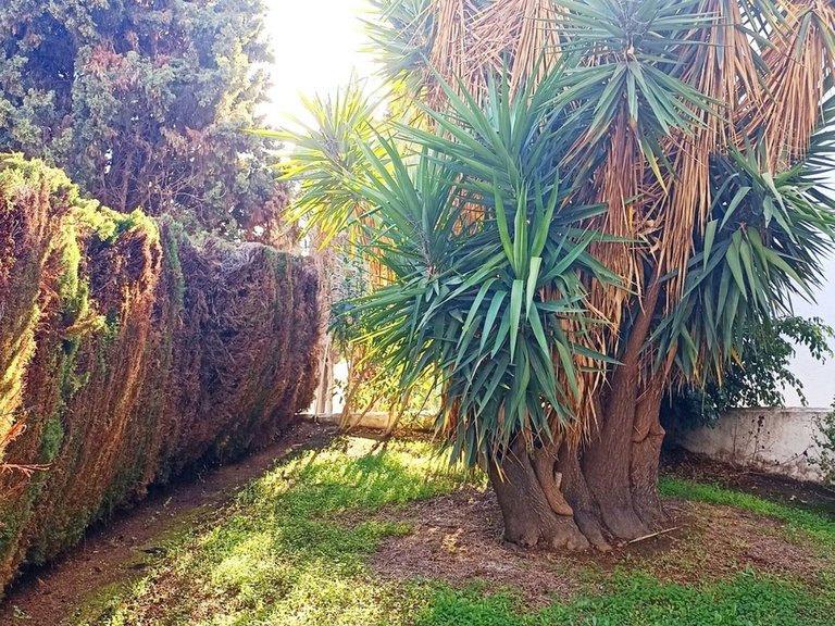 Apartment for Sale in Mijas Golf, Malaga 17