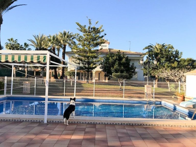 Villa for Sale in Cabo Roig, Alicante 2