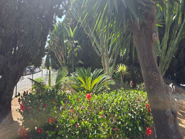 Villa for Sale in Mijas Costa, Malaga 28