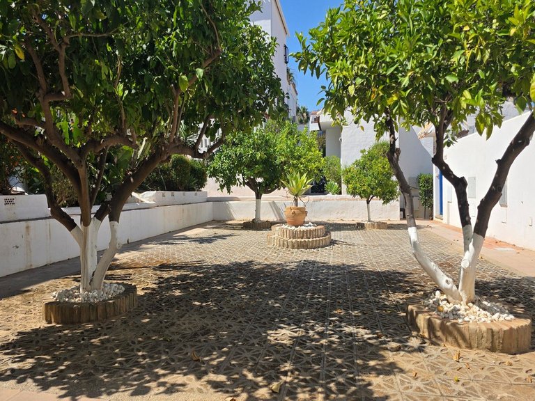Villa for Sale in Mijas Costa, Malaga 3