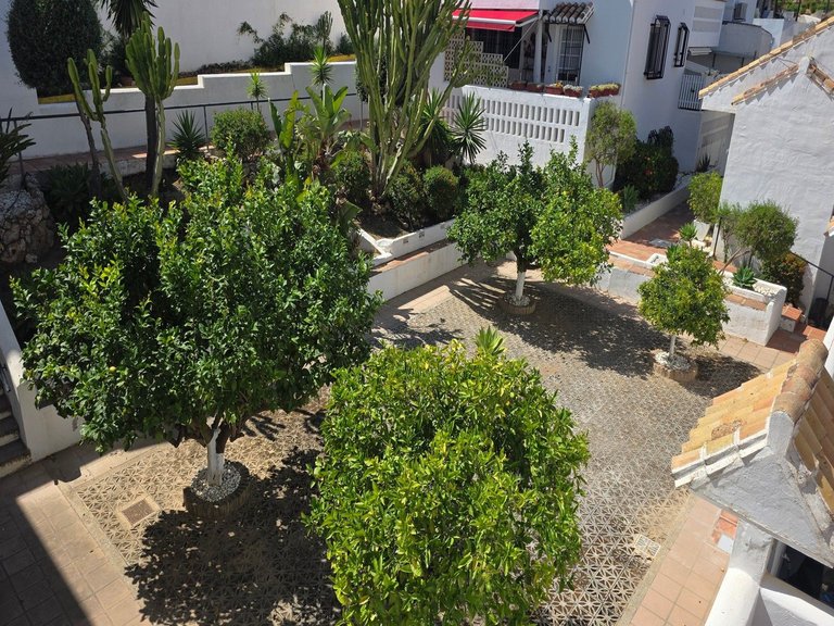 Villa for Sale in Mijas Costa, Malaga 30