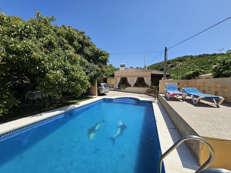 Villa for Sale in Casares, Malaga 1