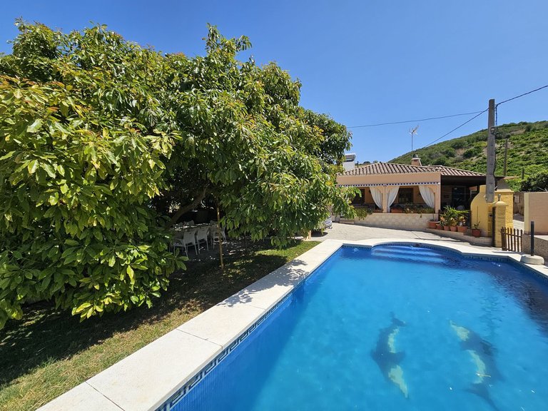 Villa for Sale in Casares, Malaga 11