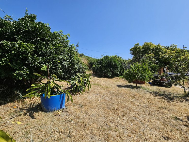 Villa for Sale in Casares, Malaga 13