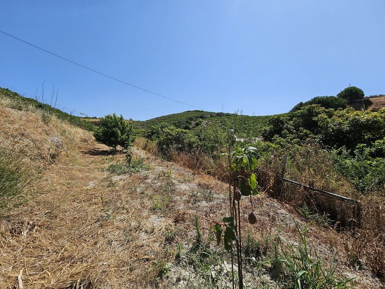 Villa for Sale in Casares, Malaga 18