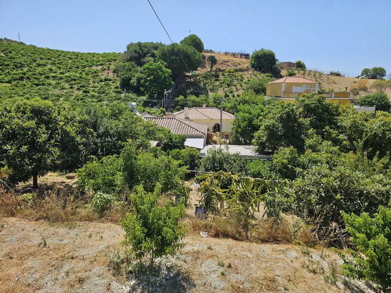 Villa for Sale in Casares, Malaga 21