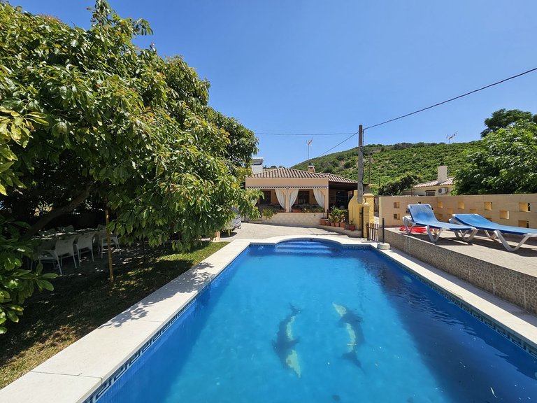 Villa for Sale in Casares, Malaga 8
