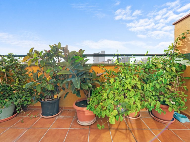 Apartment for Sale in Málaga, Malaga 4