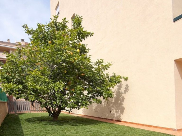 Apartment for Sale in Estepona, Malaga 12