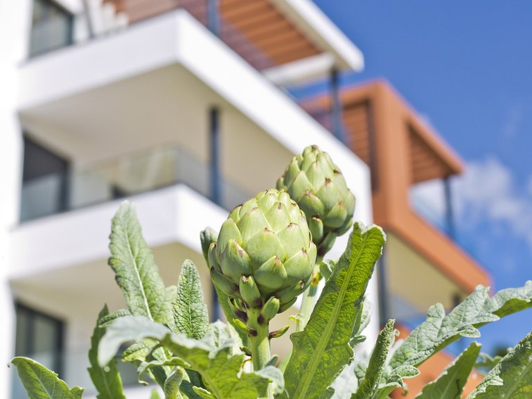 Apartment for Sale in Costa del Sol Fuengirola, Malaga 25