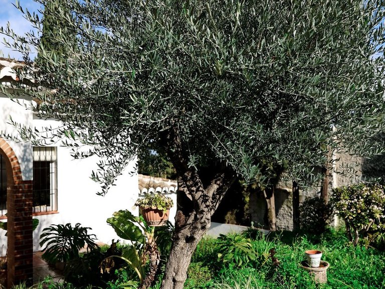 Villa for Sale in Alhaurín El Grande, Malaga 66