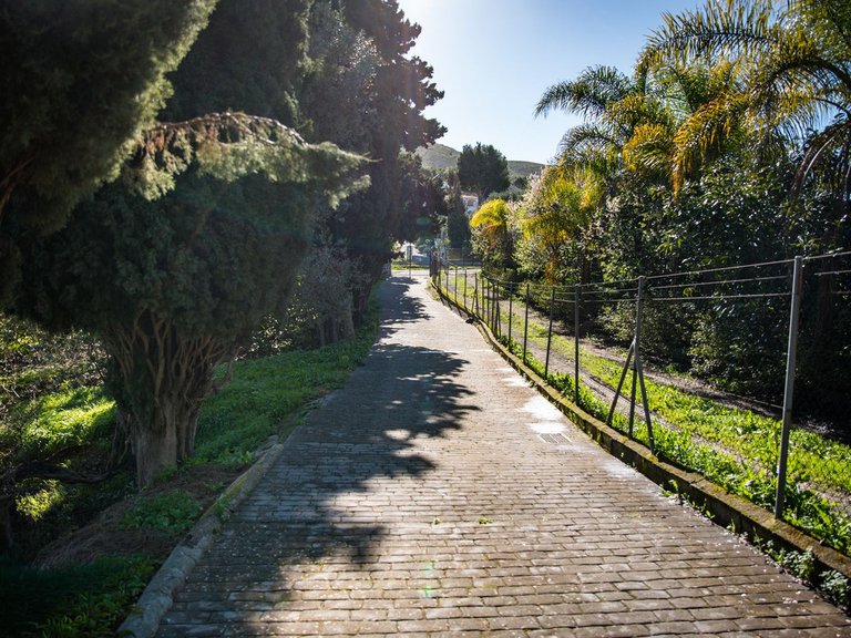 Villa for Sale in Alhaurín El Grande, Malaga 69
