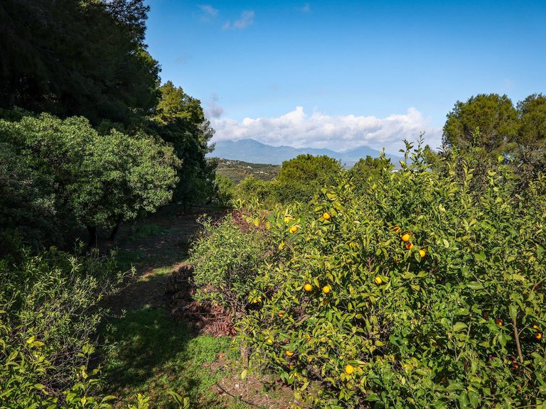 Villa for Sale in Alhaurín El Grande, Malaga 72