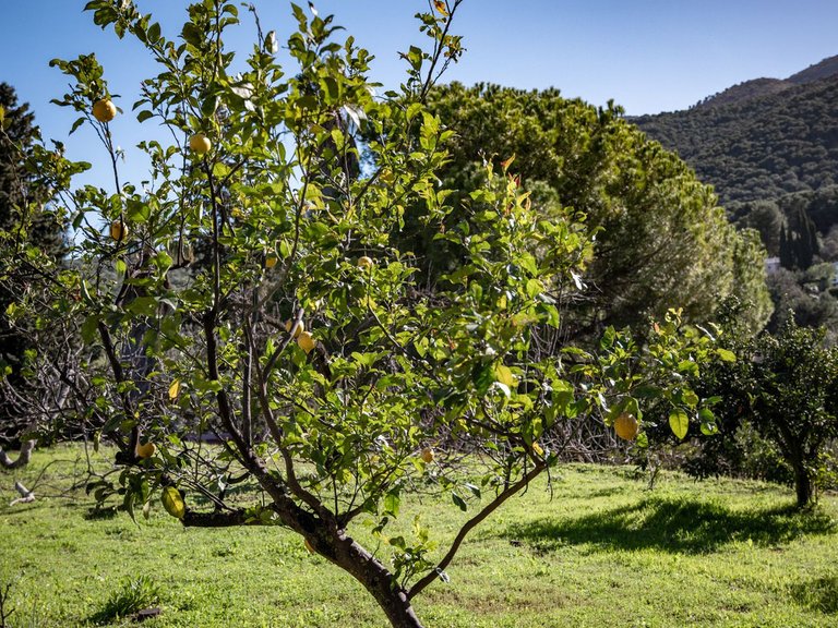 Villa for Sale in Alhaurín El Grande, Malaga 76