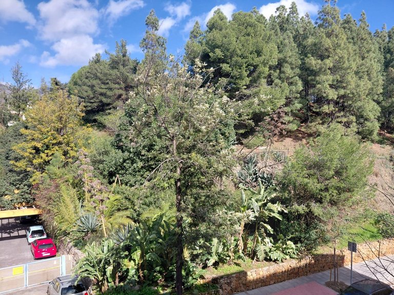 Apartment for Sale in Marbella, Malaga 20