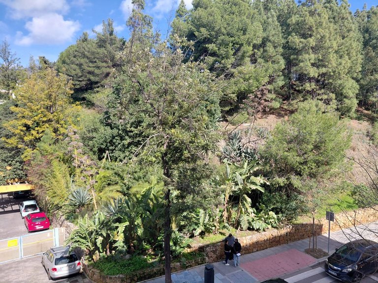 Apartment for Sale in Marbella, Malaga 22
