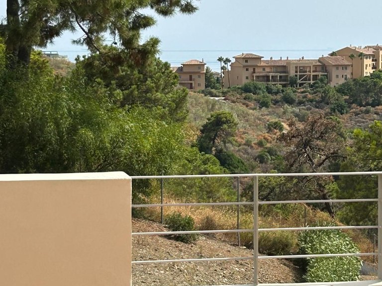 Apartment for Sale in Selwo, Malaga 25