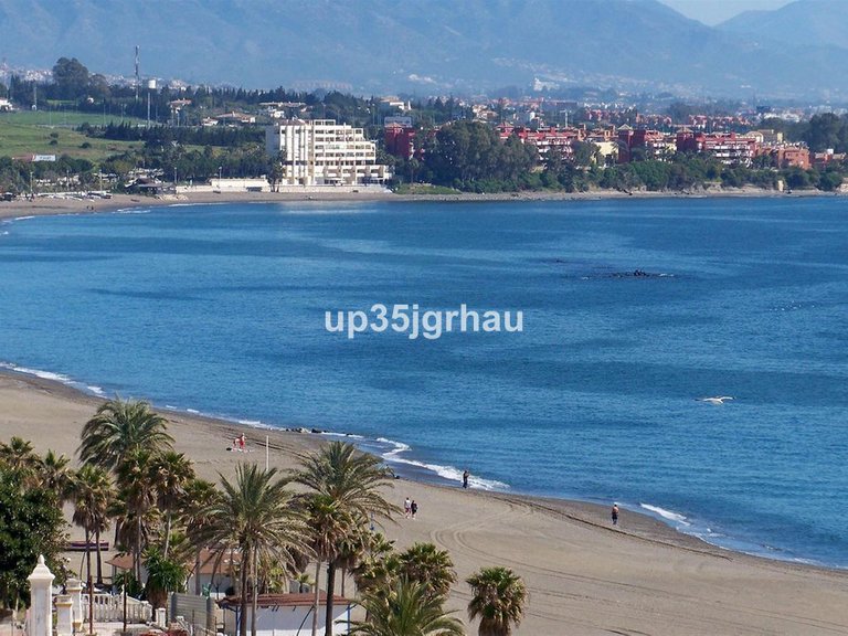 Villa for Sale in Estepona, Malaga 3