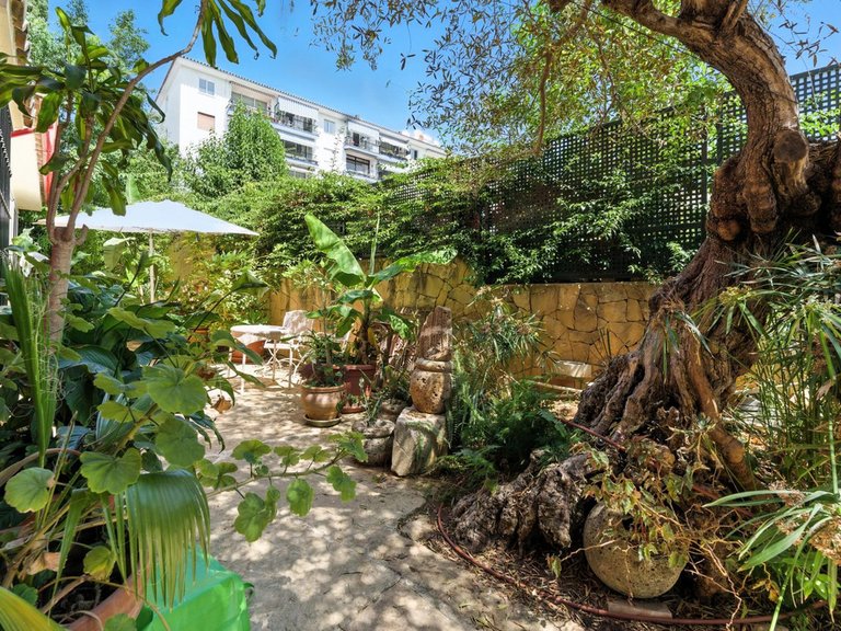 Villa for Sale in Marbella, Malaga 19