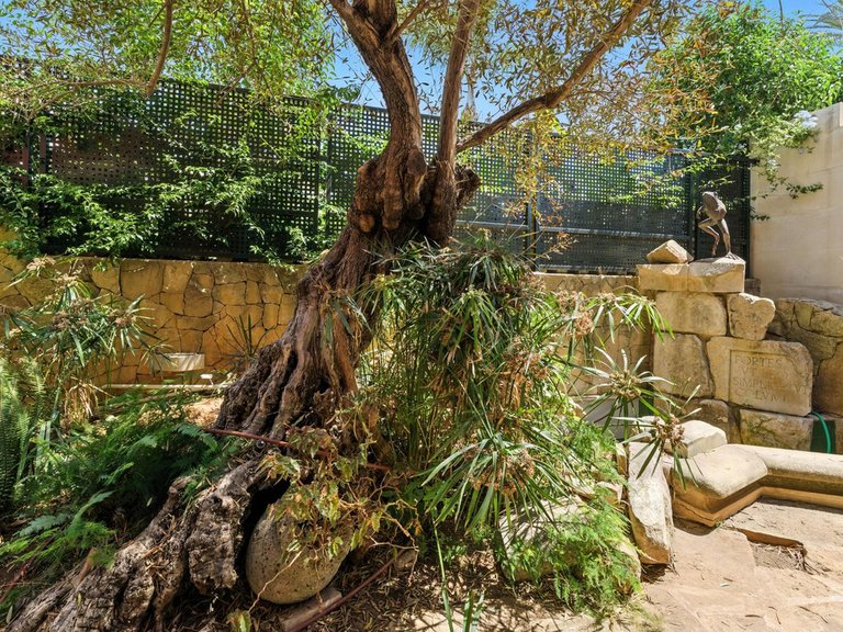 Villa for Sale in Marbella, Malaga 25