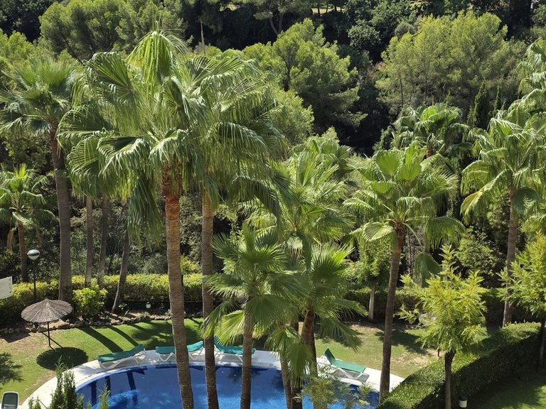 Apartment for Sale in Sierra Blanca, Malaga 1