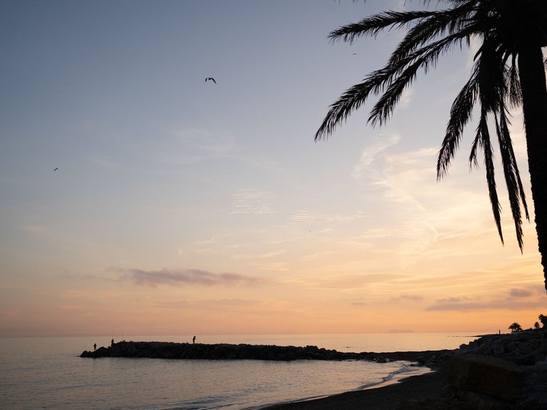 Apartment for Sale in Puerto Banús, Malaga 10