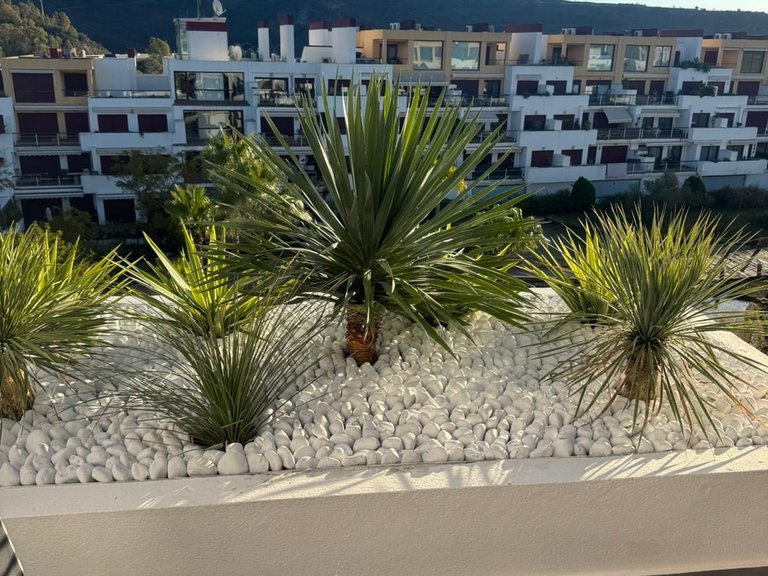 Apartment for Sale in Benahavís, Malaga 12