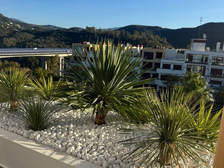 Apartment for Sale in Benahavís, Malaga 9