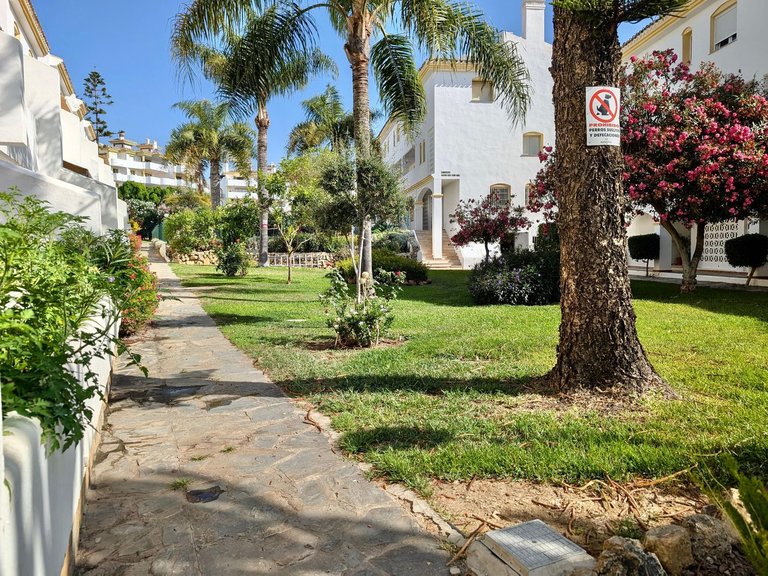 Apartment for Sale in Calahonda, Malaga 42