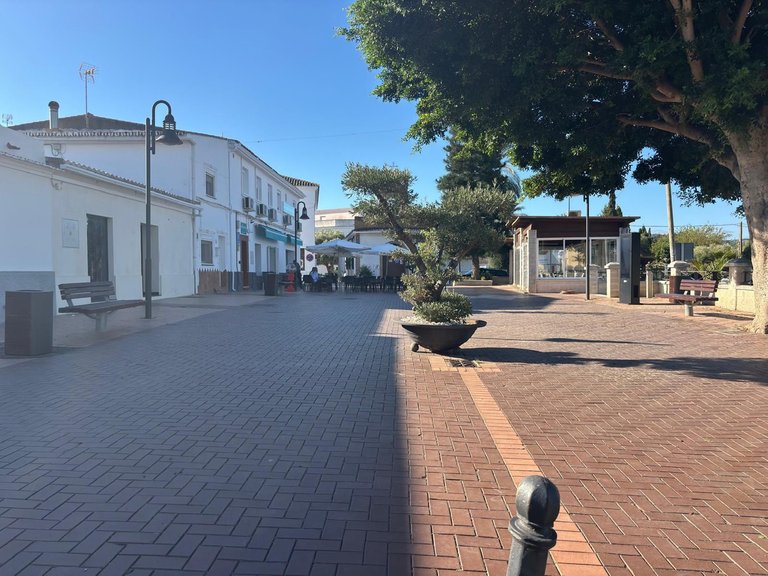 Villa for Sale in Casares, Malaga 29