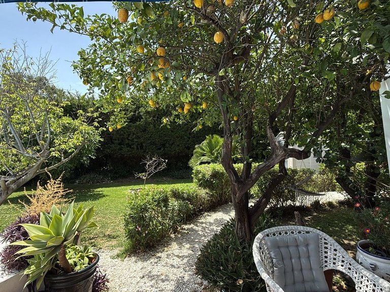 Villa for Sale in Estepona, Malaga 17