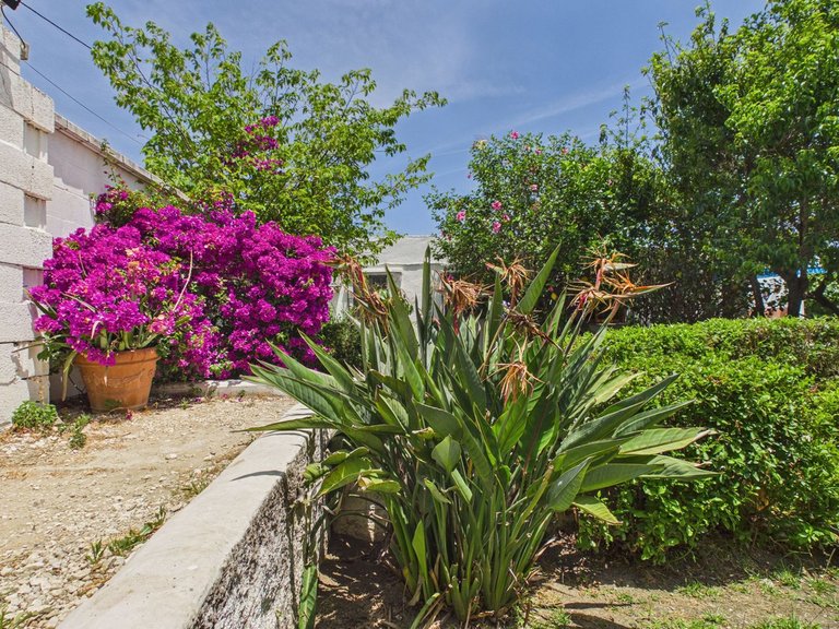 Villa for Sale in Estepona, Malaga 23