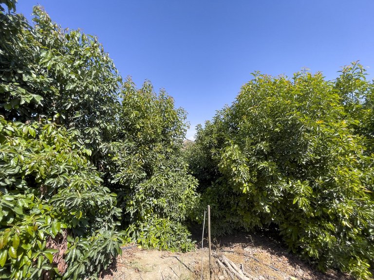 Villa for Sale in Coín, Malaga 44