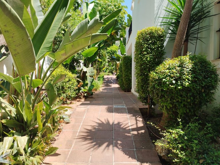 Apartment for Sale in Marbella, Malaga 45