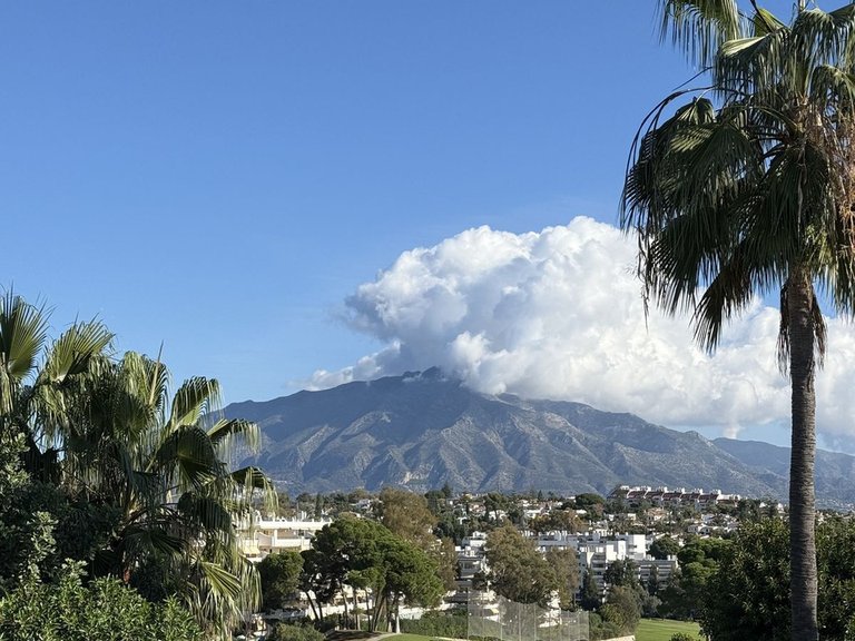 Villa for Sale in Guadalmina Alta, Malaga 1